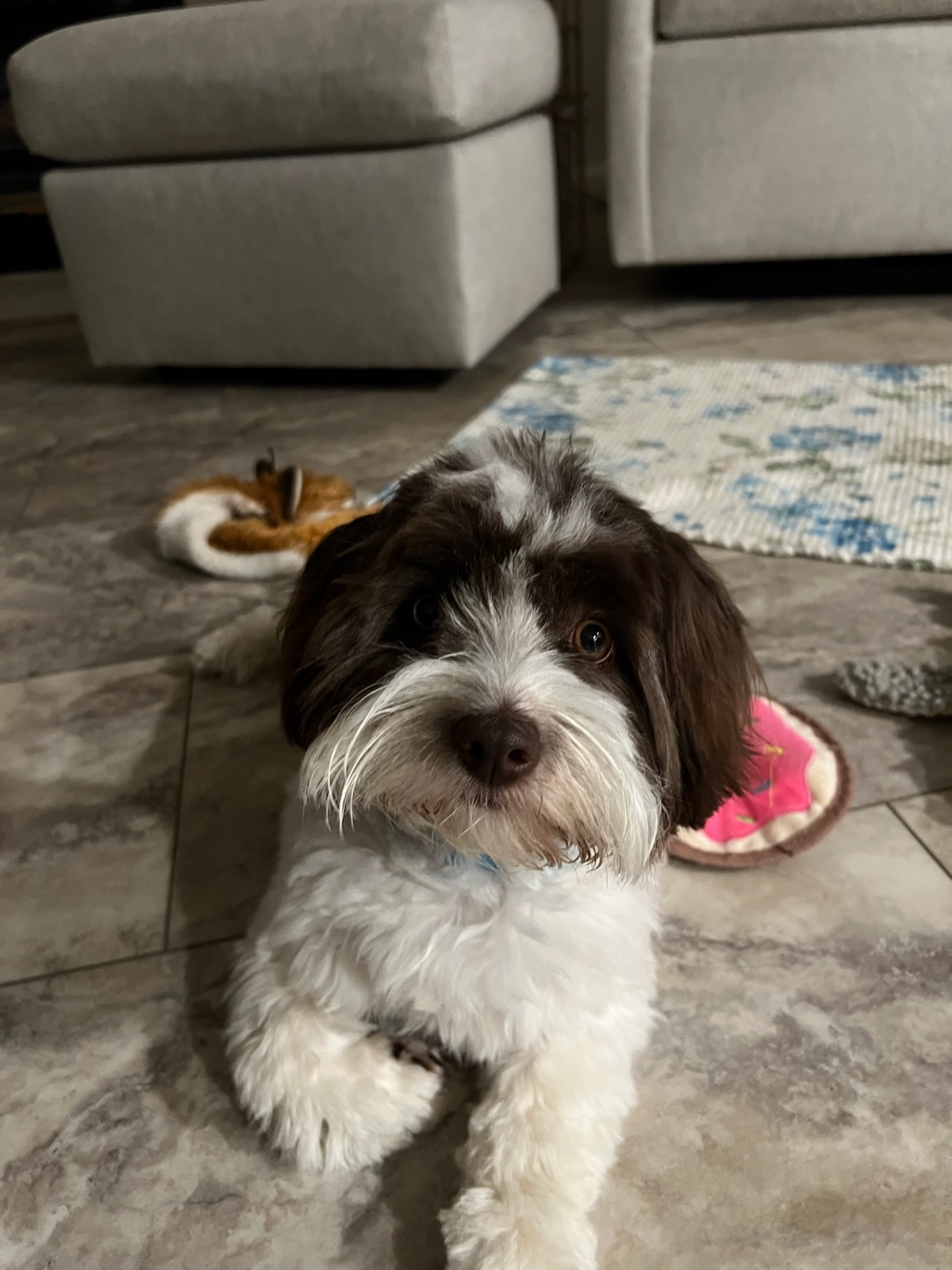 Bella from Detroit